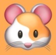 西瓜视频免费最新版