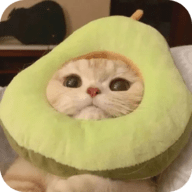 成人看视频APP应用